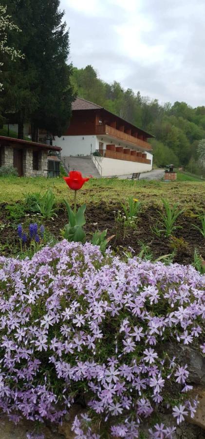 B&B Zlatna Nit Bosanska Krupa Esterno foto